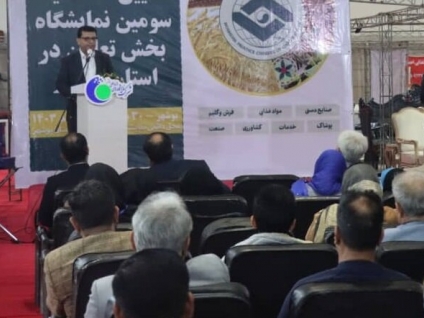 استفاده ظرفیت تعاونی‌های استان بوشهر در عرصه اقتصادی